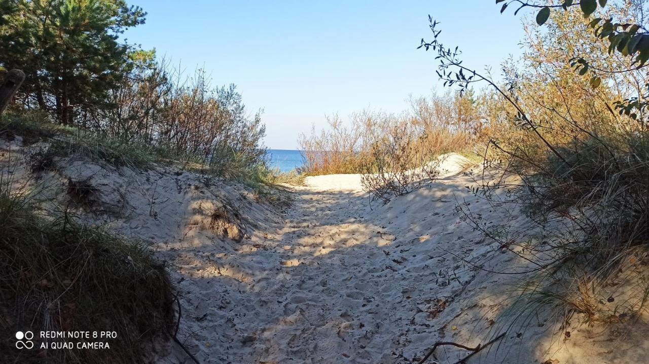 Szwed-pol *